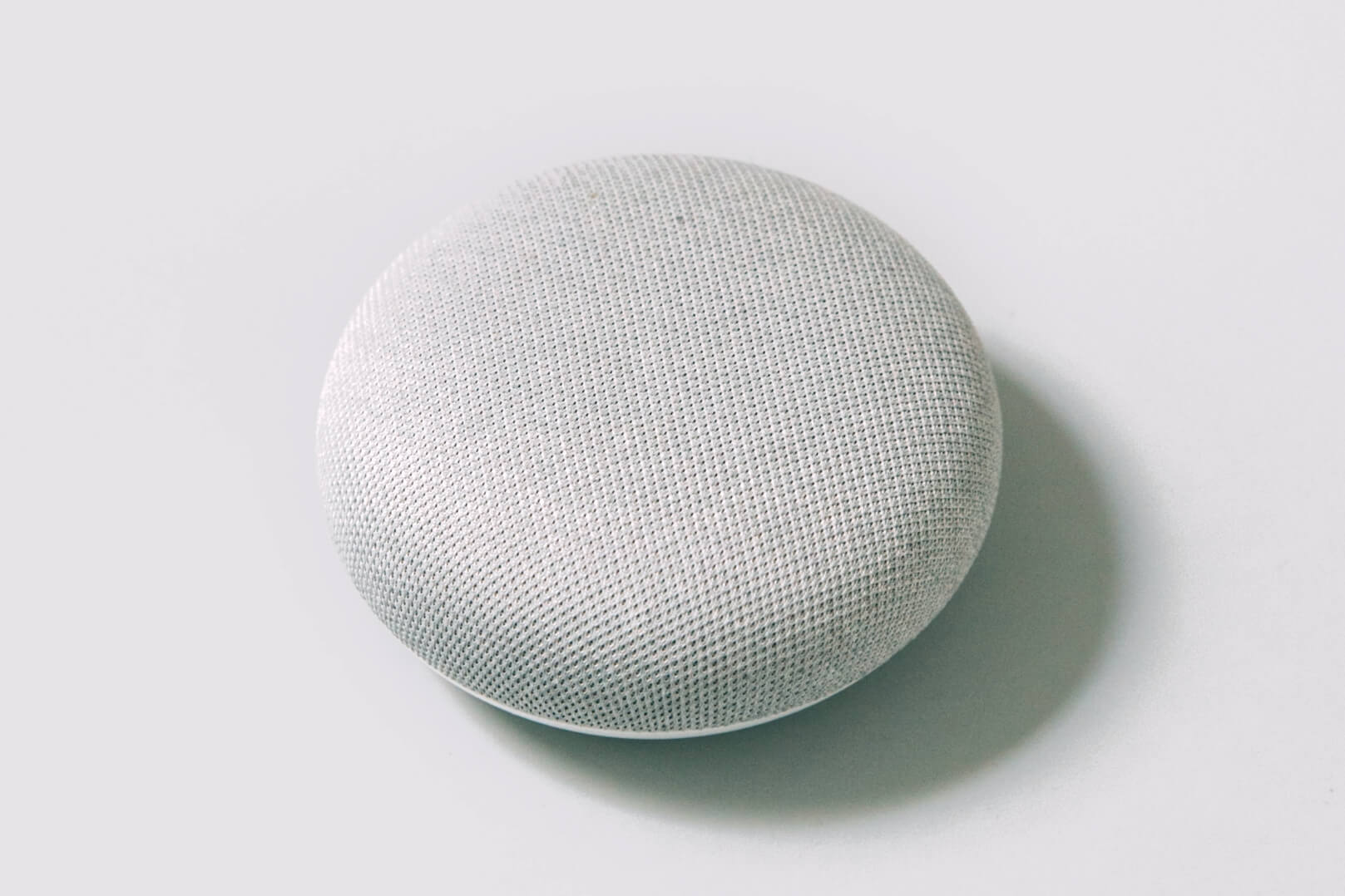 Zootog Speaker